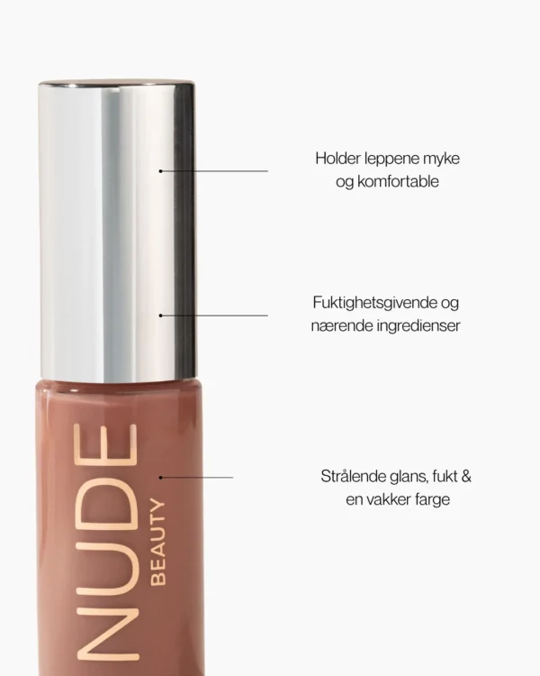 Nude Beauty High Shine Lip Gloss 33 Chic